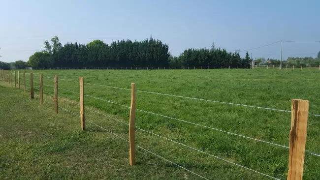 Clôture en piquets de bois et fils dans une prairie